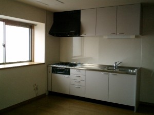 b0001.gold cape.photo.kitchen